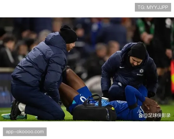 布莱顿主场对阵切尔西，海鸥军团冲击欧战资格关键战